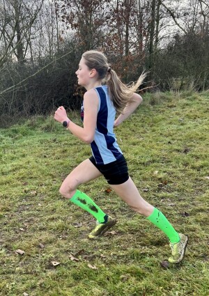 Article Thumbnail Image