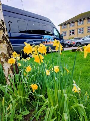 Article Thumbnail Image